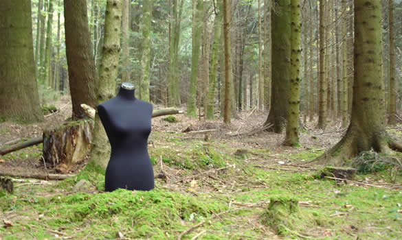 Schneiderb&uuml;ste im Wald